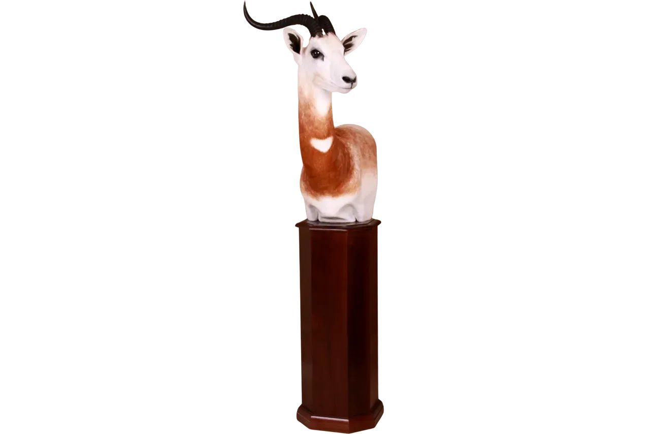 Dama Gazelle Pedestal Mount