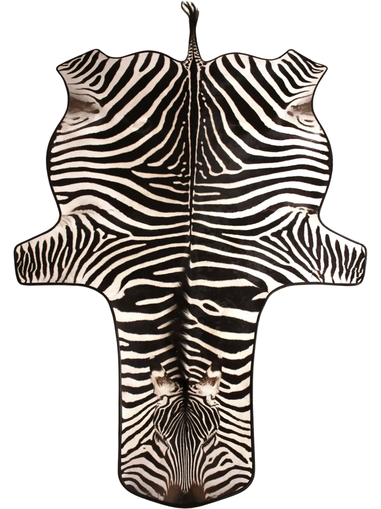 Zebra Flat Skin Rug