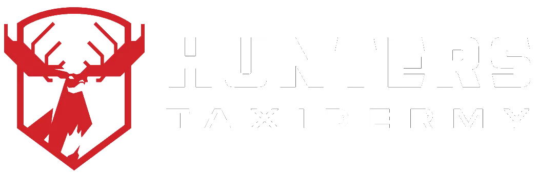 The Hunter’s Taxidermy