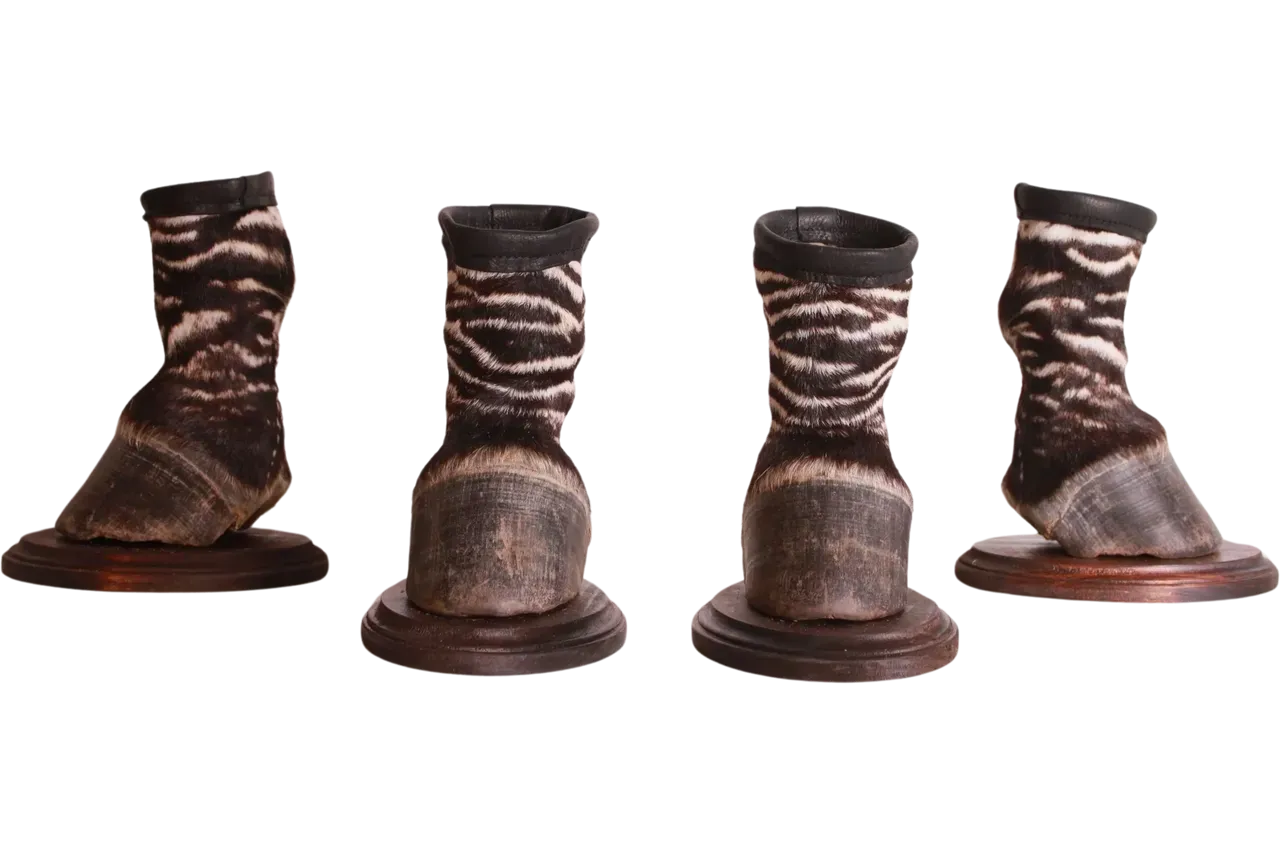 Plains Zebra Hoof Mount