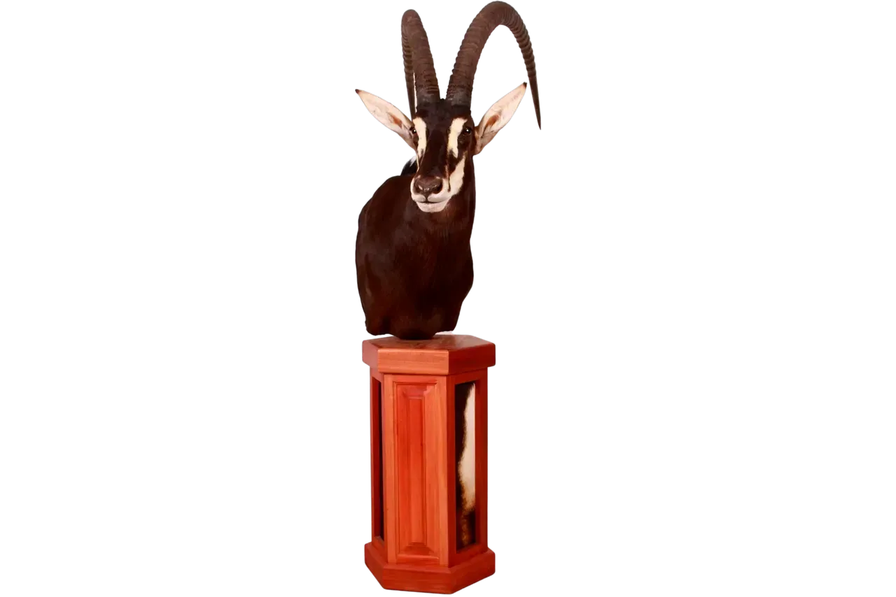 Sable Pedestal Mount